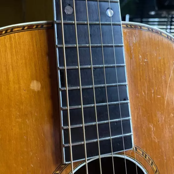 Lyon Healy Parlor 1910s The Guitar Company