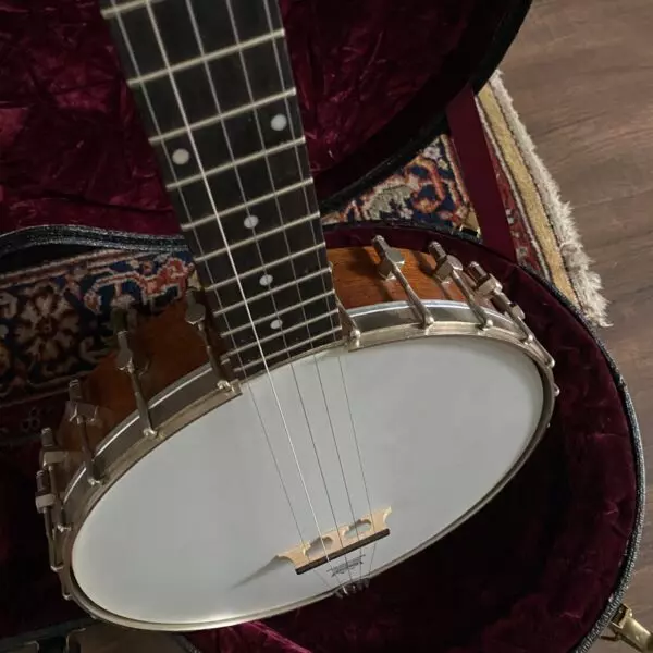 Saga ss10 deals banjo